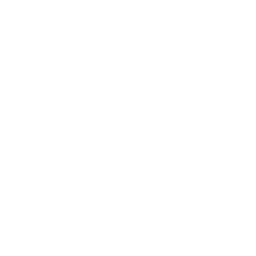 Gift Icon